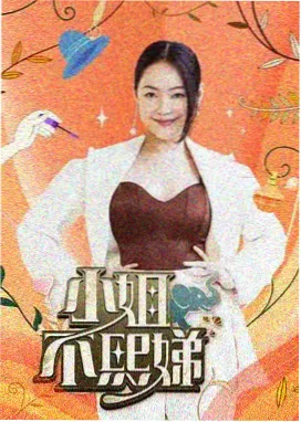 雪落无名刀 小说封面